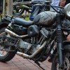 DSC_1317-59